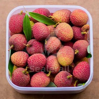 شراء آلة تغليف الغلاف الجوي المعدلة من الفولاذ المقاوم للصدأ للفطريات الطازجة التصنيع عبر الإنترنت